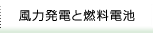 風力発電と燃料電池