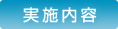 実施内容